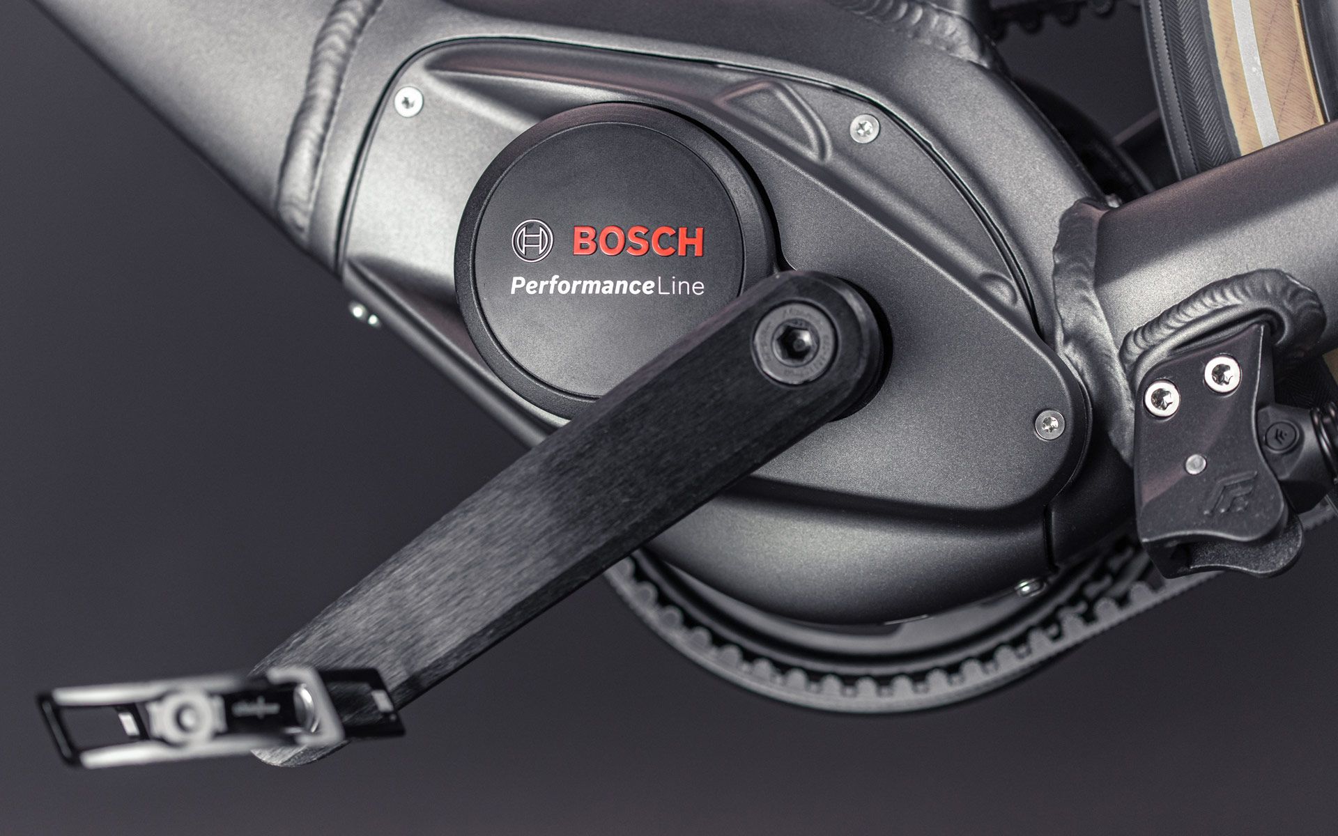 Je nach gewünschter Unterstützung, stehen zwei Varianten zur Auswahl: Bosch Active Line Plus (max. 50 Nm) oder Performance Line (max. 65 Nm).