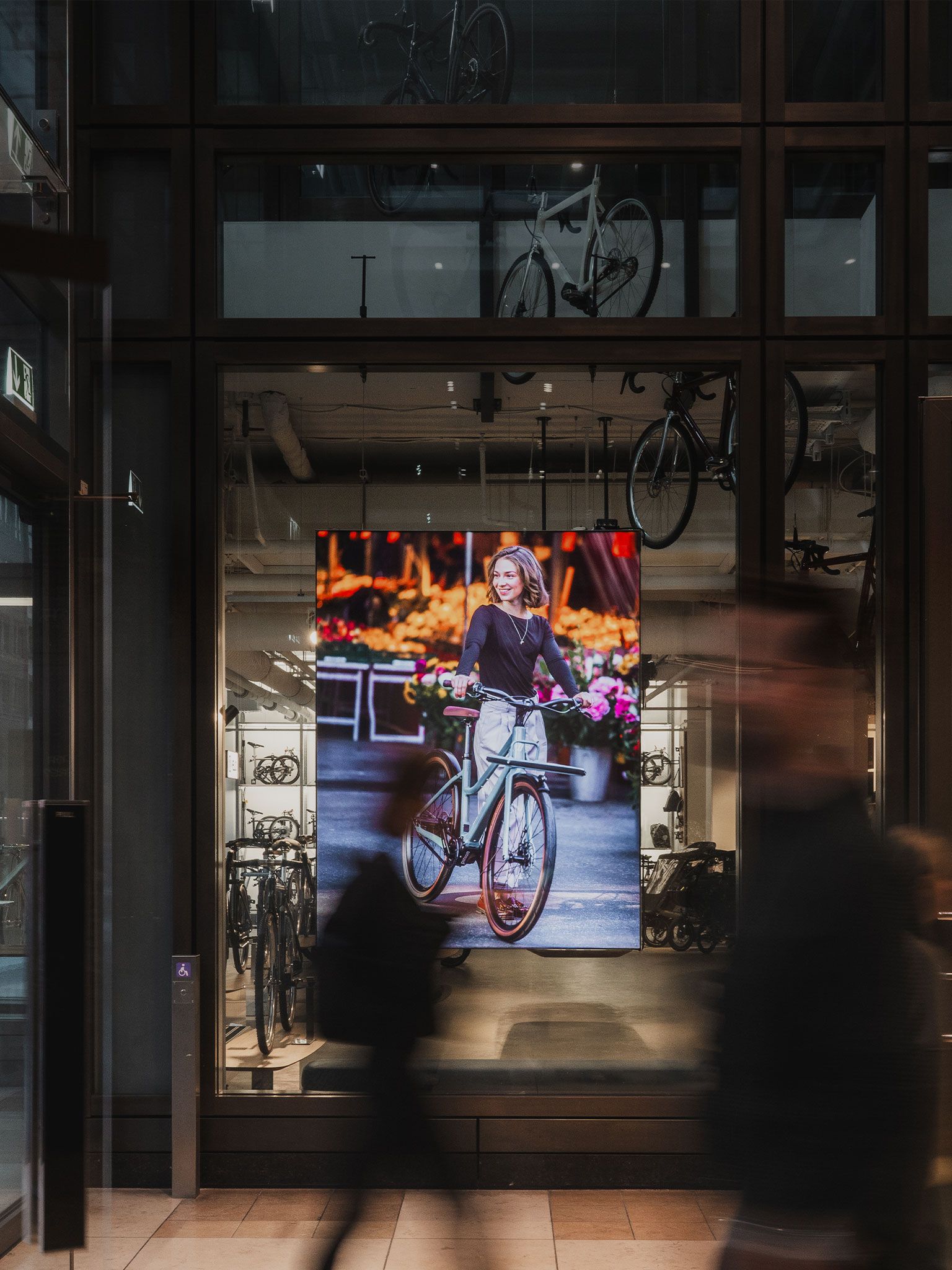 BICICLI x Schindelhauer -  